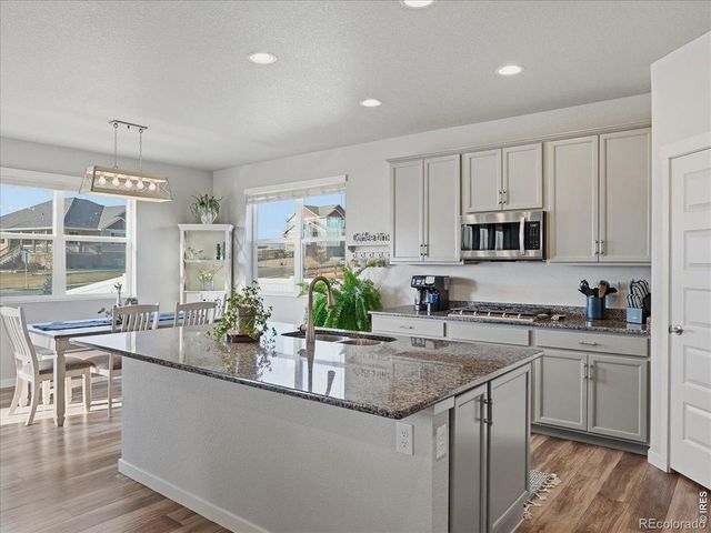 1229 Argali Drive, Severance, CO 80550