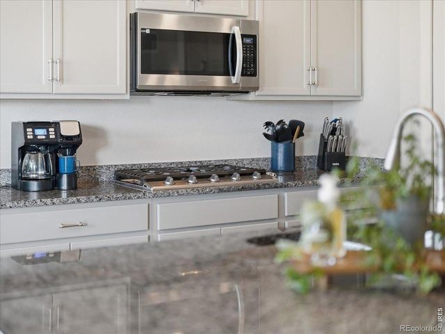 1229 Argali Drive, Severance, CO 80550