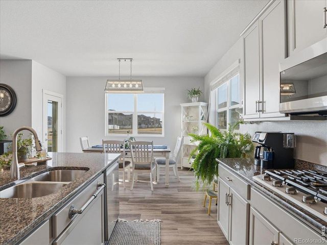 1229 Argali Drive, Severance, CO 80550