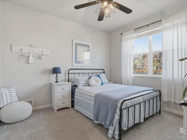 1229 Argali Drive, Severance, CO 80550