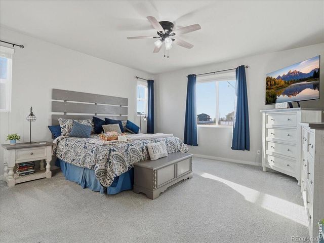 1229 Argali Drive, Severance, CO 80550