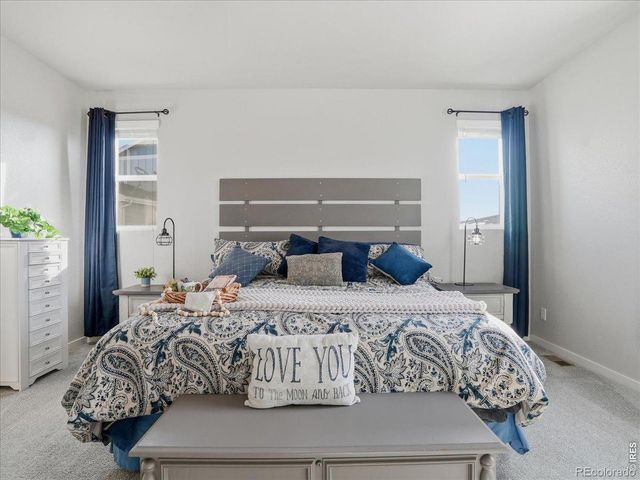 1229 Argali Drive, Severance, CO 80550
