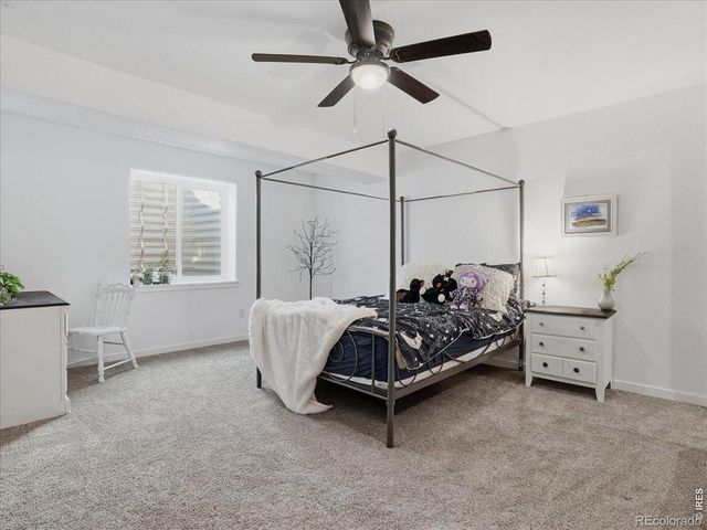 1229 Argali Drive, Severance, CO 80550