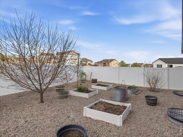 1229 Argali Drive, Severance, CO 80550