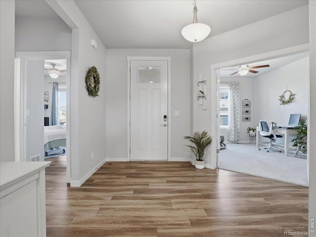 1229 Argali Drive, Severance, CO 80550