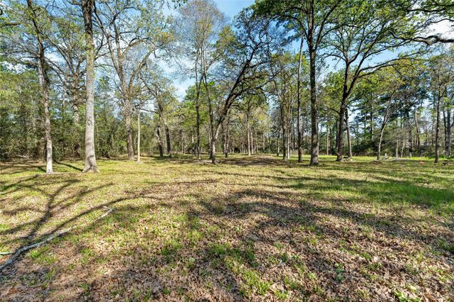 19739 E Lakeshore Drive, Magnolia, TX 77355