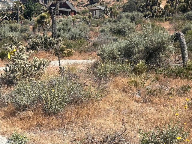 0 Mesquite Road, Pinon Hills, CA 92372