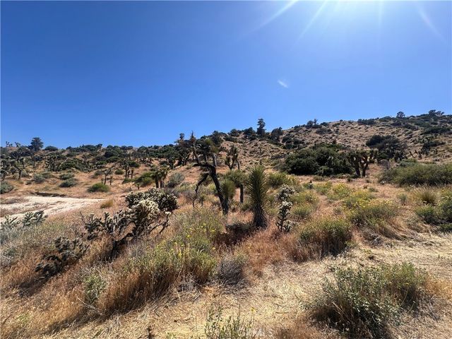 0 Mesquite Road, Pinon Hills, CA 92372