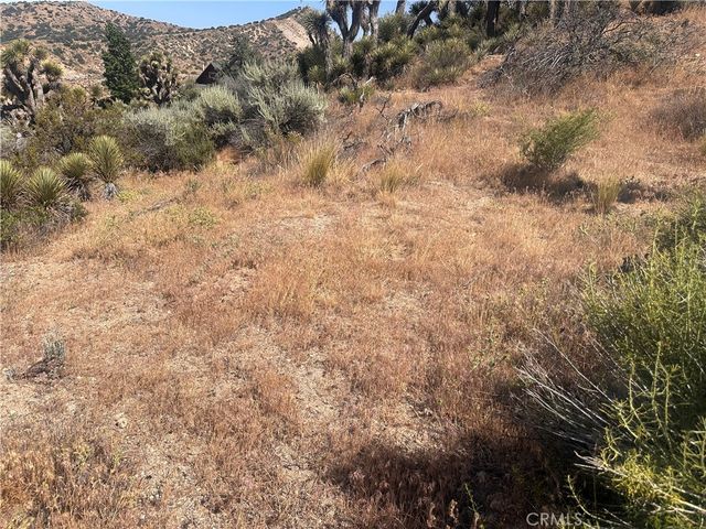 0 Mesquite Road, Pinon Hills, CA 92372