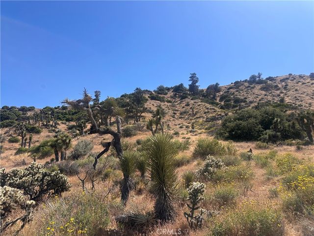 0 Mesquite Road, Pinon Hills, CA 92372