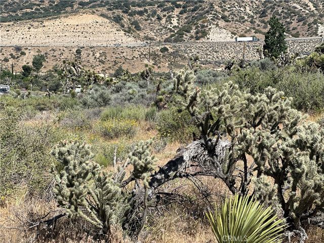 0 Mesquite Road, Pinon Hills, CA 92372