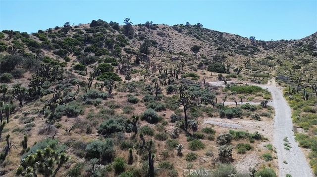 0 Mesquite Road, Pinon Hills, CA 92372