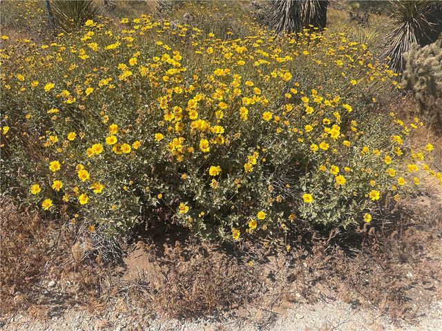 0 Mesquite Road, Pinon Hills, CA 92372