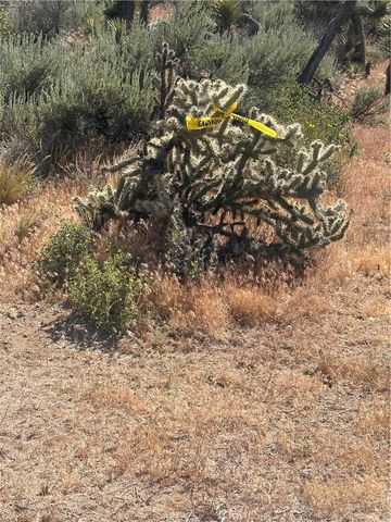 0 Mesquite Road, Pinon Hills, CA 92372