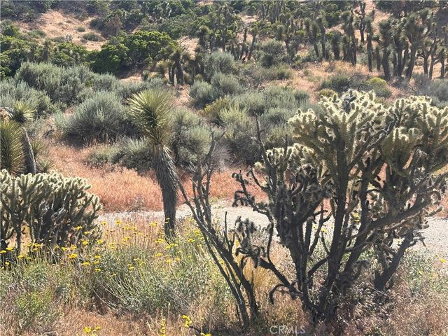 0 Mesquite Road, Pinon Hills, CA 92372
