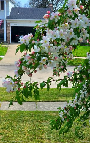 4939 Duchess Drive, Sterling Heights, MI 48310