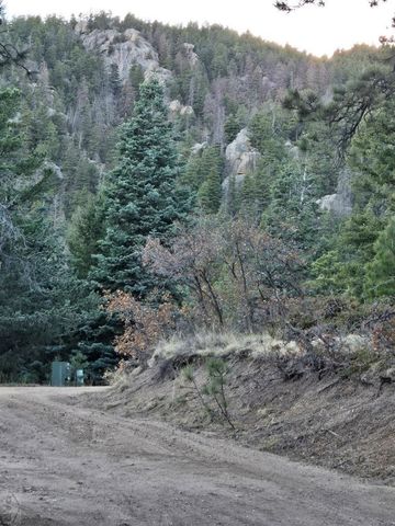 161 N Highland Circle, Rye, CO 81069