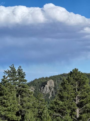 161 N Highland Circle, Rye, CO 81069