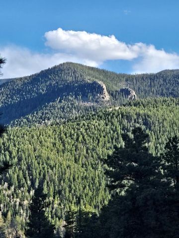 161 N Highland Circle, Rye, CO 81069