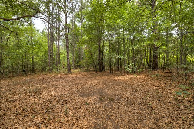 5145 Longbranch Drive, Dalzell, SC 29040