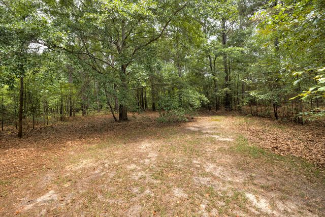 5145 Longbranch Drive, Dalzell, SC 29040