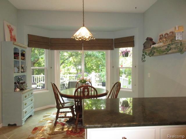 11356 Tall Shadows Court, Pinckney, MI 48169