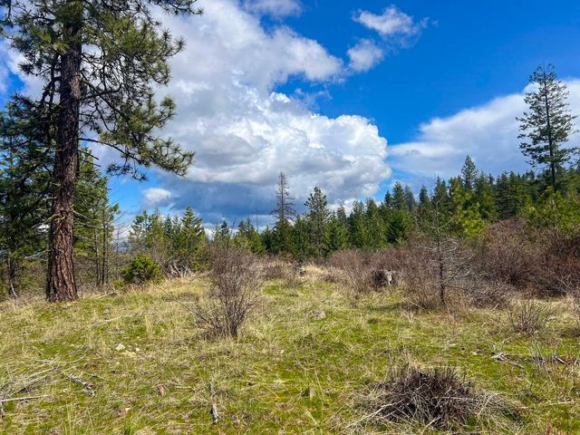52XX Lot 8 Swenson Rd, Deer Park, WA 99006
