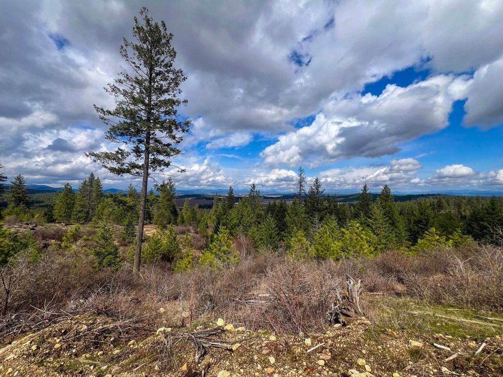 52XX Lot 8 Swenson Rd, Deer Park, WA 99006 photo 1