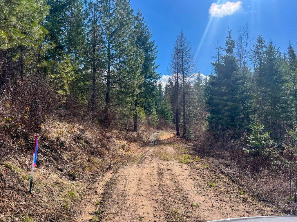 52XX Lot 8 Swenson Rd, Deer Park, WA 99006 photo 3