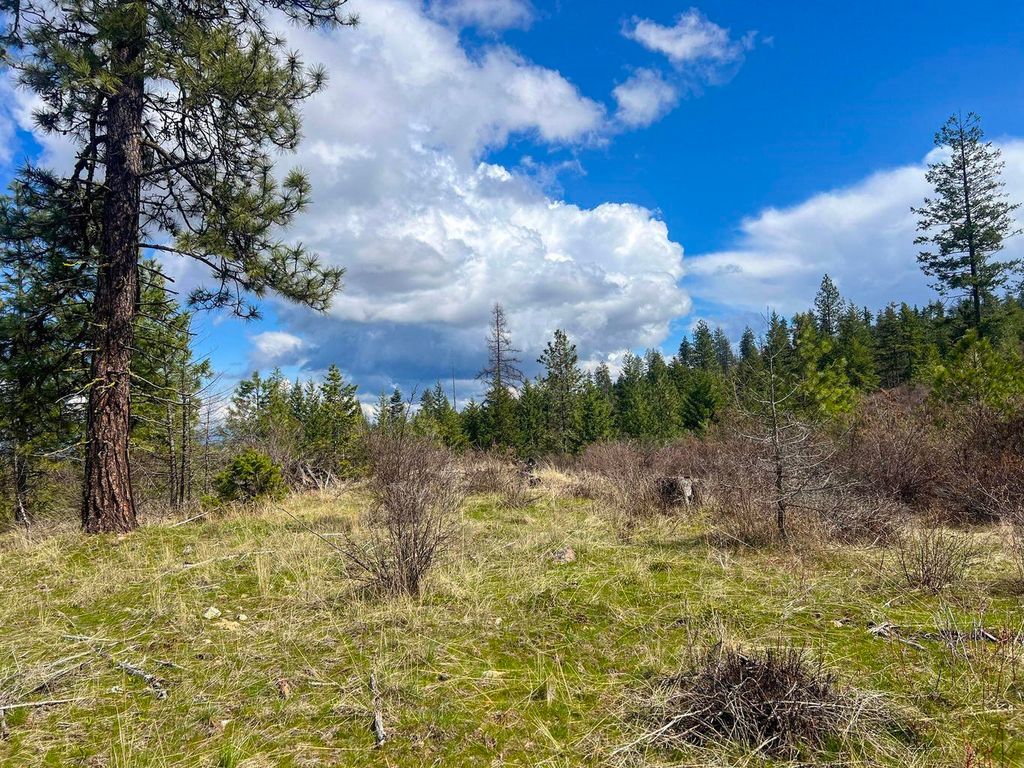 52XX Lot 8 Swenson Rd, Deer Park, WA 99006 photo 4
