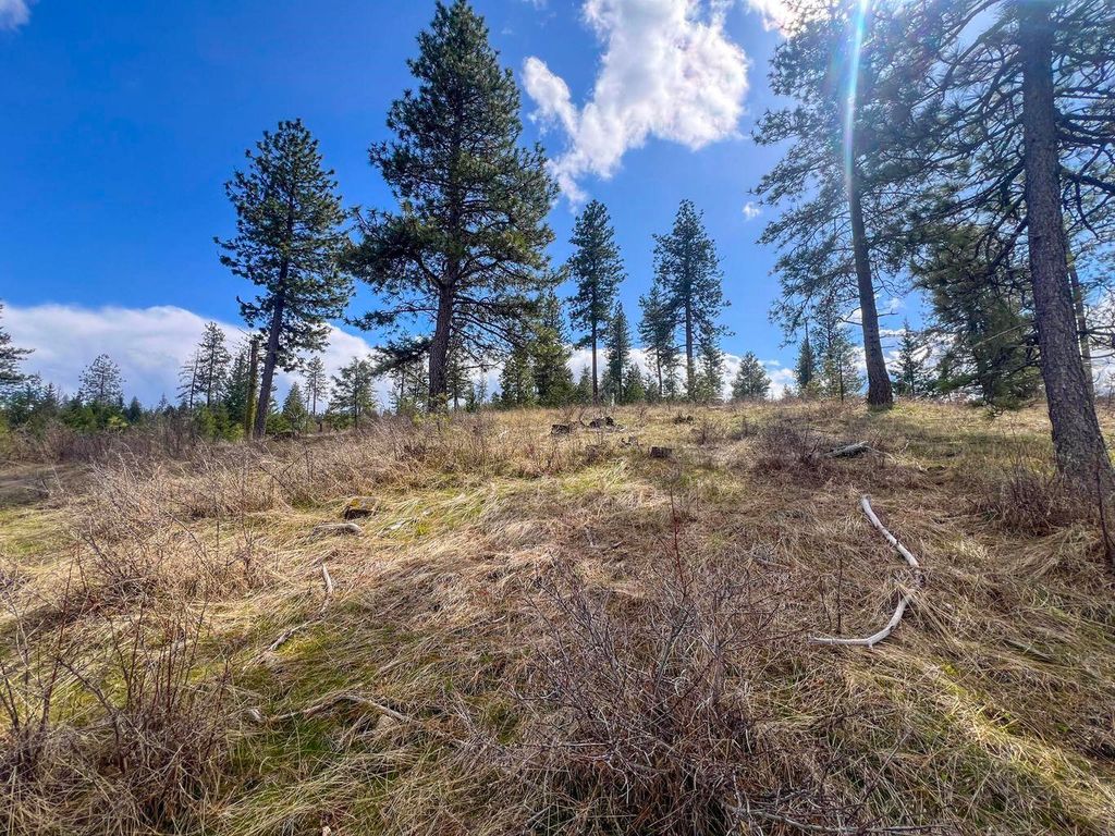 52XX Lot 8 Swenson Rd, Deer Park, WA 99006 photo 5