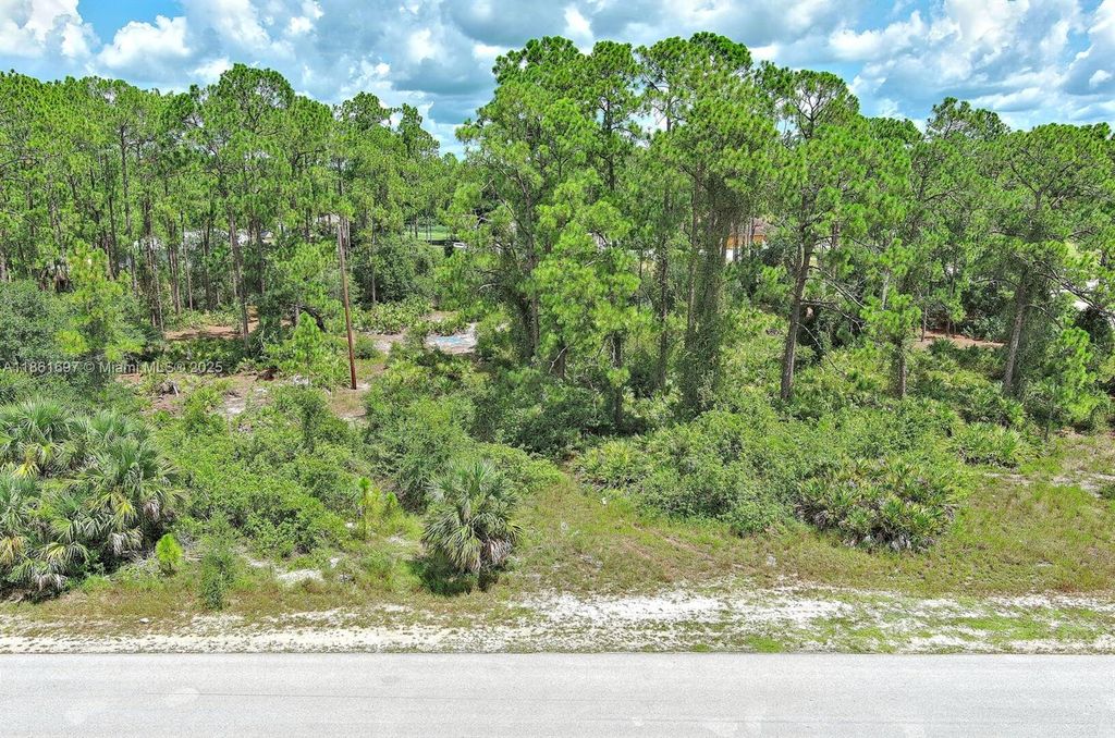 1102 W 16th Street, Lehigh Acres, FL 33972