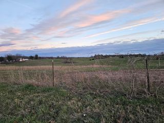 000 Farm Rd 2000, Verona, MO 65769
