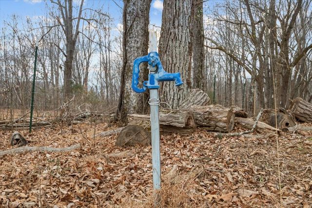 1355 Mitchell Rd, Pulaski, TN 38478