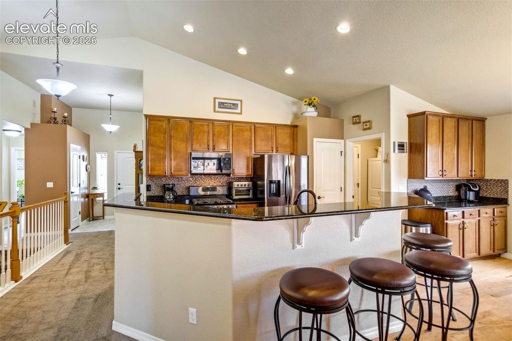 12456 Mount Bross Place, Peyton, CO 80831 — photo 3