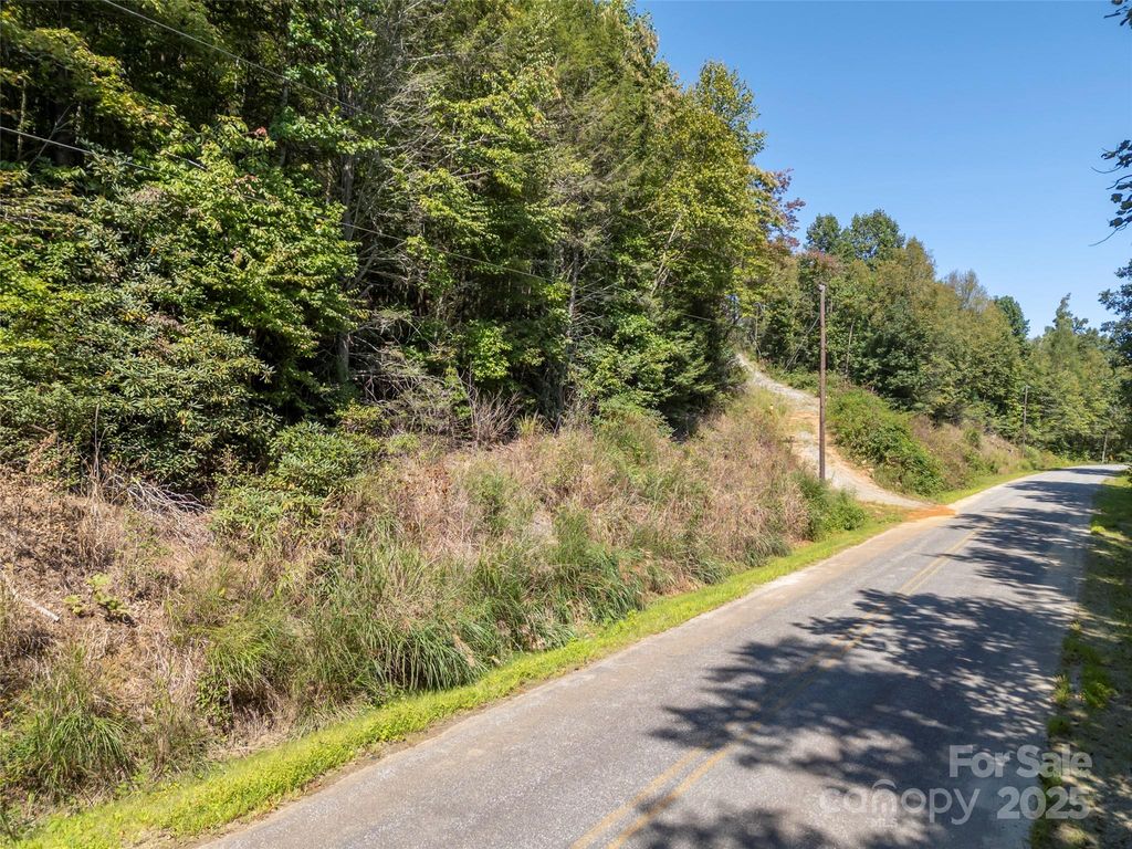 00 Camp Creek Road, Saluda, NC 28773