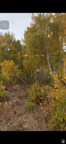 6825 E 6675 N Unit 52, Eden, UT 84310