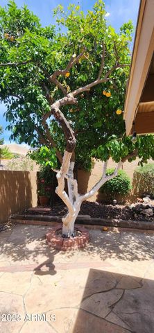 9100 E WINCHCOMB Drive, Scottsdale, AZ 85260
