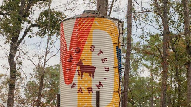 9314 Clucking Hen Street, Montgomery, TX 77316