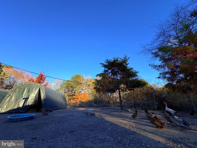 8381 HURLEYS NECK RD, Mardela Springs, MD 21837