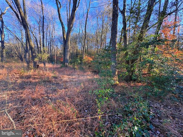 8381 HURLEYS NECK RD, Mardela Springs, MD 21837