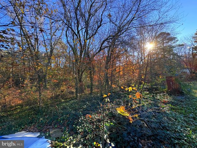 8381 HURLEYS NECK RD, Mardela Springs, MD 21837