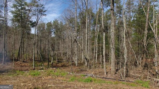 140 Autumn Fern Lane, Ellijay, GA 30536