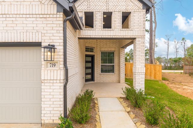 719 Campbell Crossing Court, Willis, TX 77318