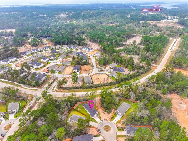 719 Campbell Crossing Court, Willis, TX 77318