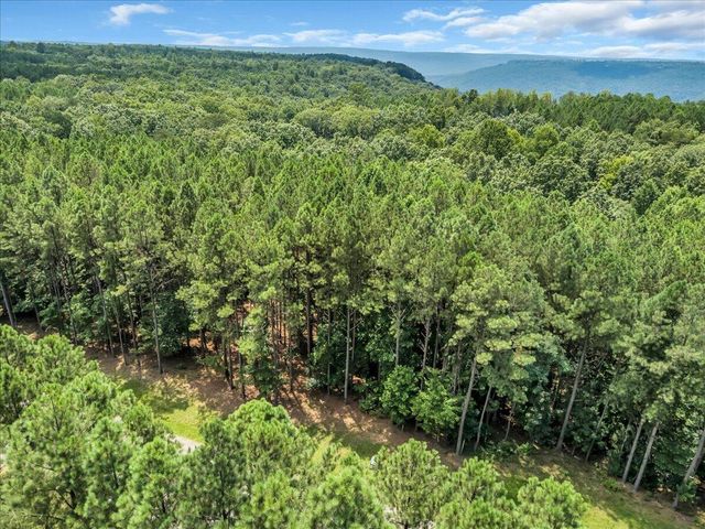 0 Moonlight Lane Jf 424, Jasper, TN 37347