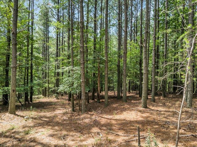 0 Moonlight Lane Jf 424, Jasper, TN 37347