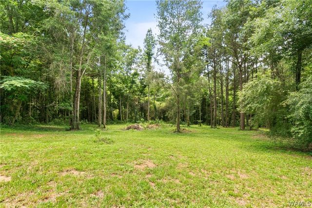 9596 Alabama Highway 60, Moundville, AL 35474