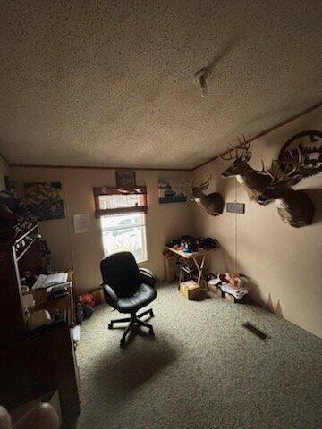 7050 N Poplar Road, Freesoil Twp, MI 49411