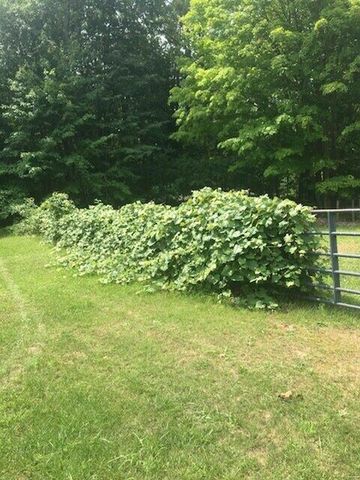 7050 N Poplar Road, Freesoil Twp, MI 49411